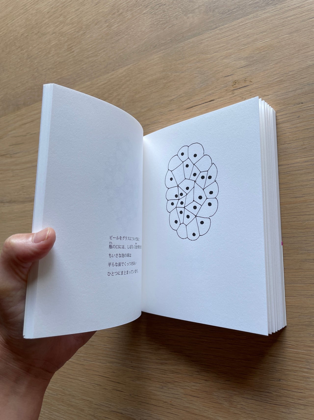 Erde Books