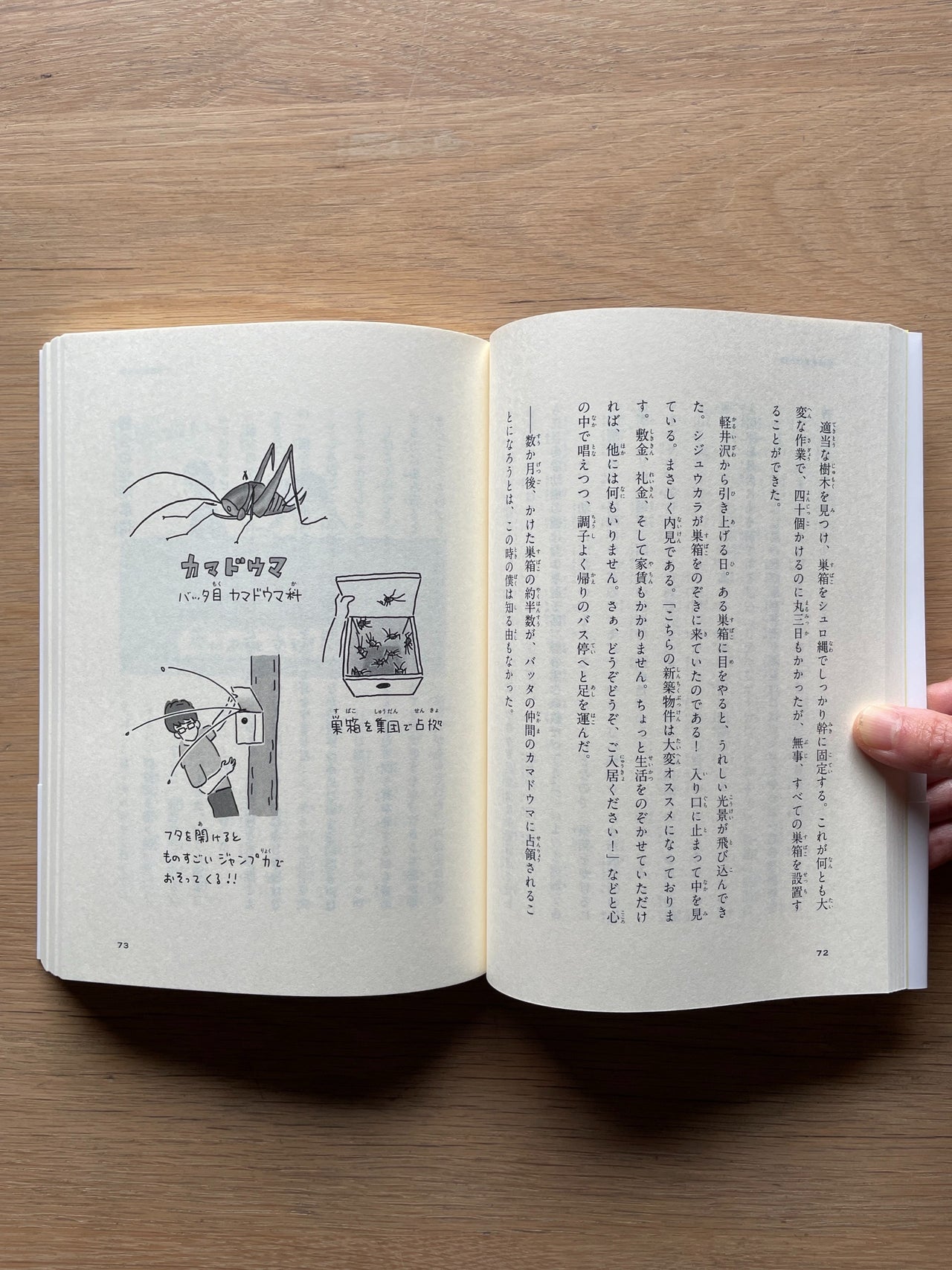 ふたりのひみつ I.ボーゲル 著 1978年発行 エリカとインゲ CHILDREN'S BOOK | Erde Books